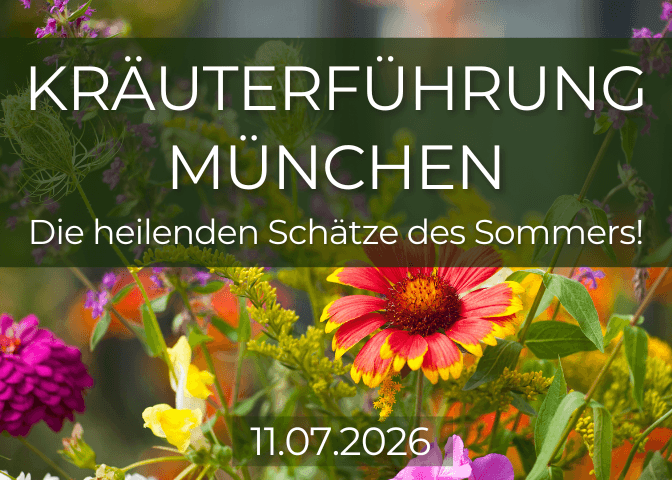Sommer-Kräuterführung-2 (1)
